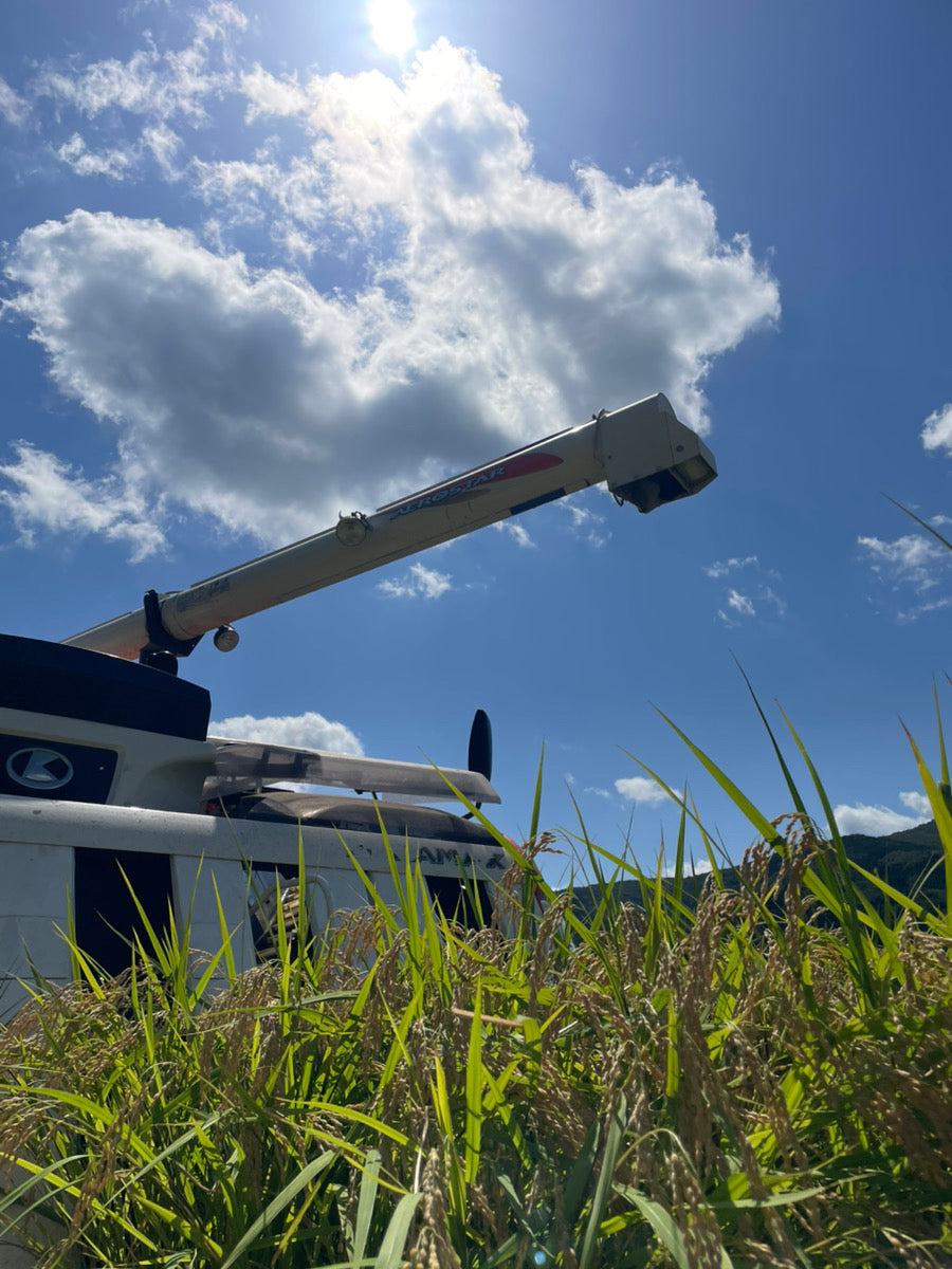 福島県中通り産『ひとめぼれ』【年間購入】